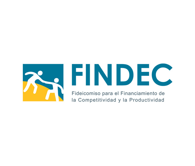 FINDEC